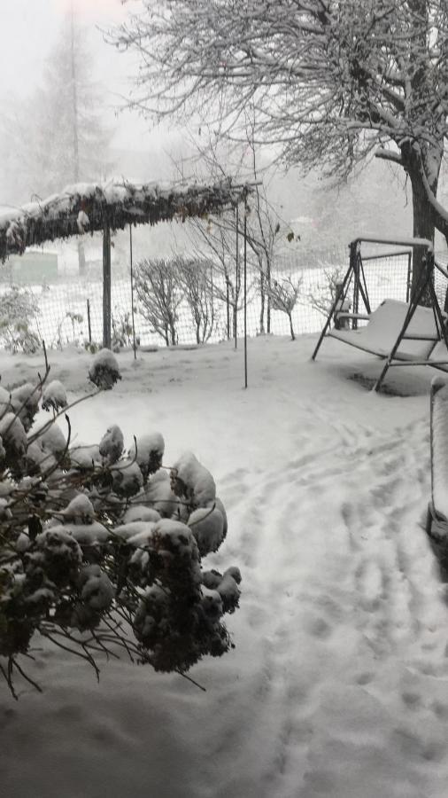 Giaveno Lo Scoiattolo Bed & Breakfast エクステリア 写真